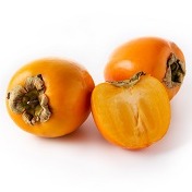  柿子精華