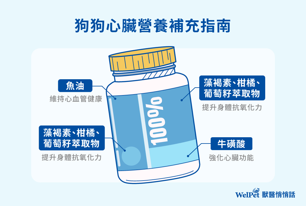 狗狗心臟營養補充指南